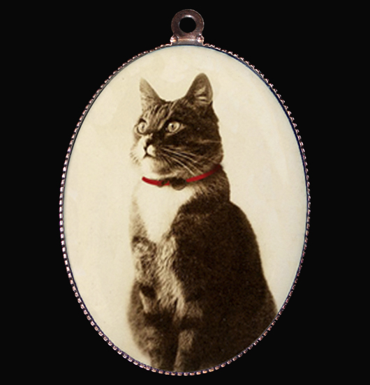 MEDAGLIONI | | Gatto reale